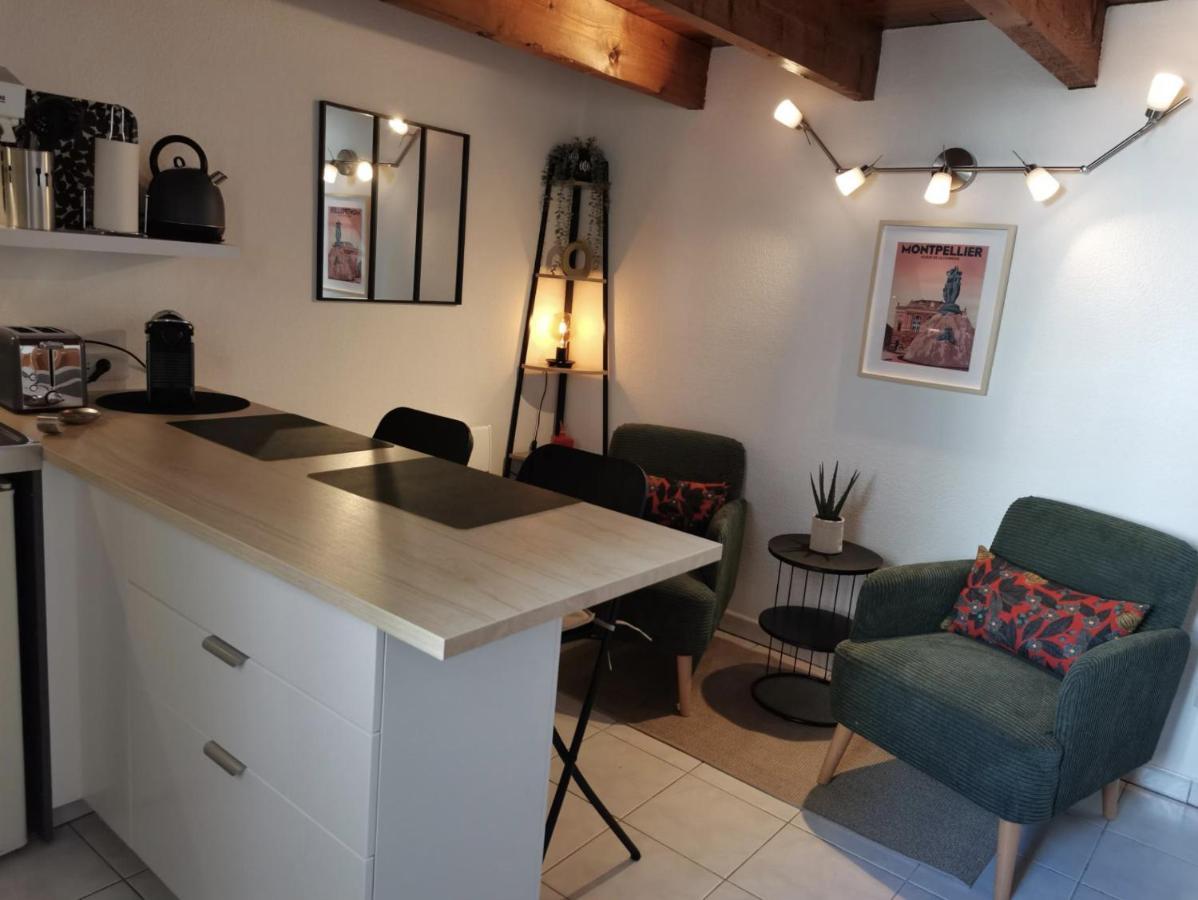 Le Studio De La Comedie, Montpellier, Hyper-Centre Apartment Luaran gambar